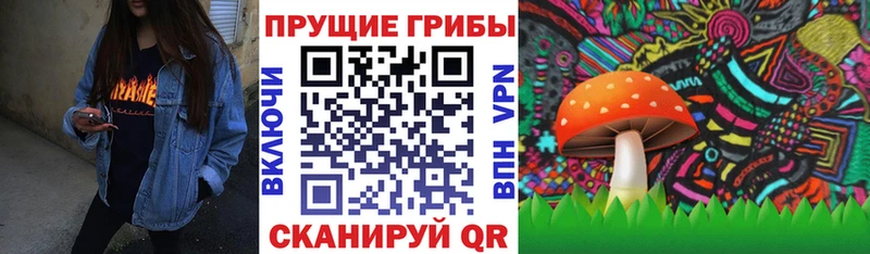 Псилоцибиновые грибы Psilocybine cubensis  хочу   Углегорск 